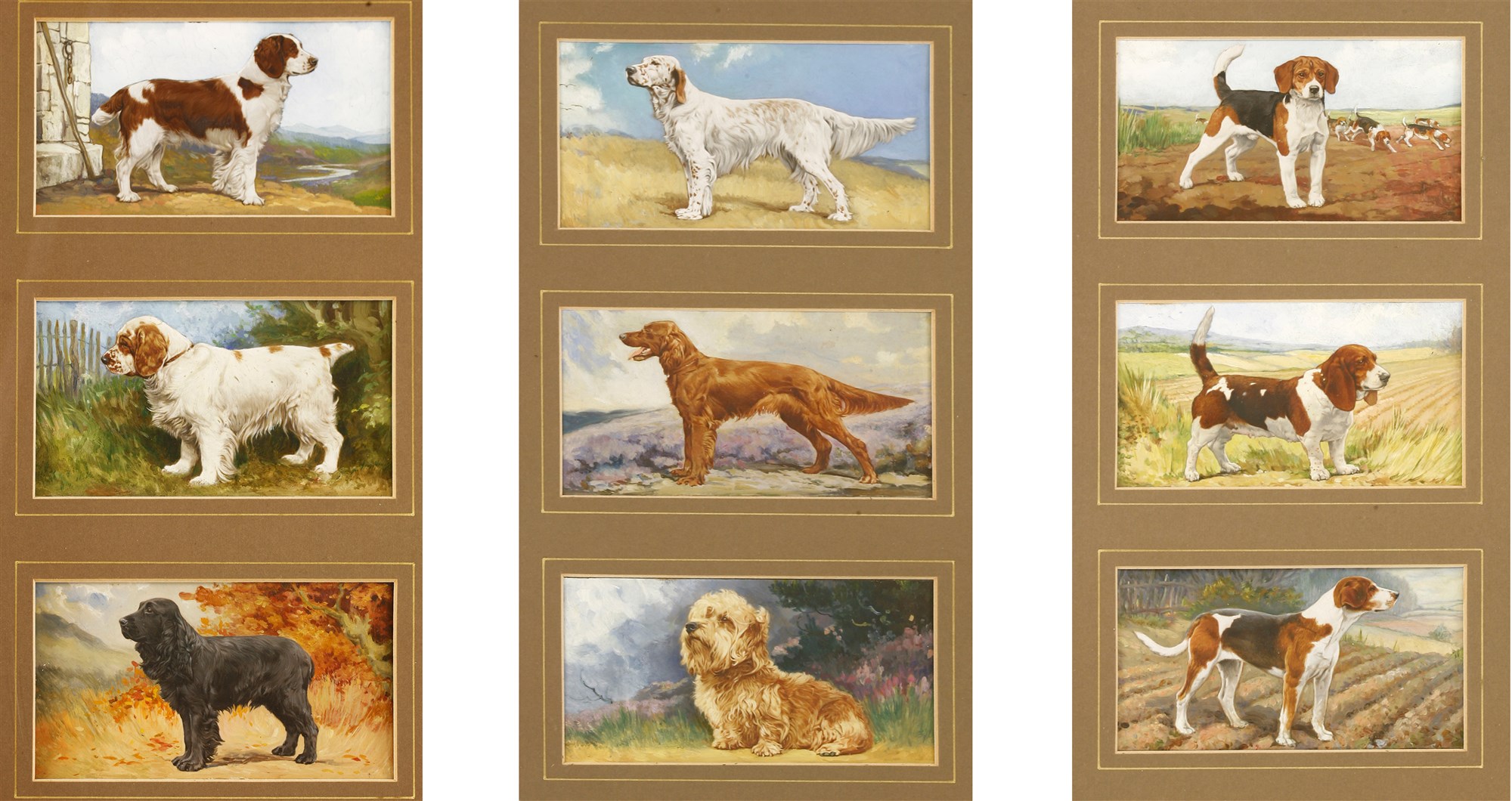 Gallaher Cigarette Card Dog Portraits