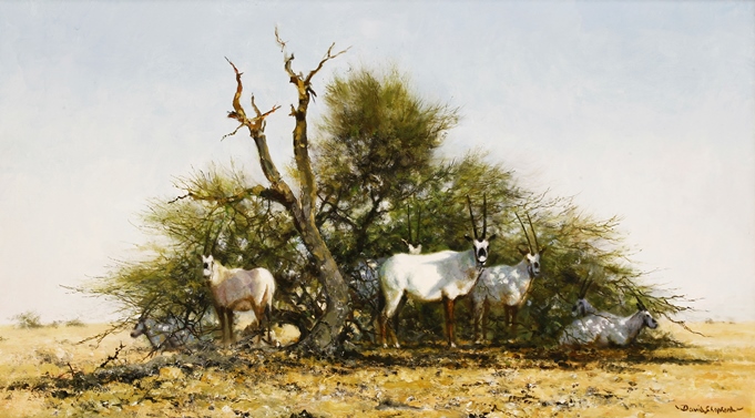 David Shepherd, Arabian Oryx