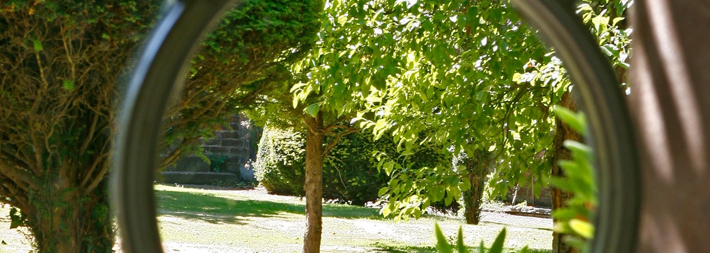 The Barbara Holliday Collection