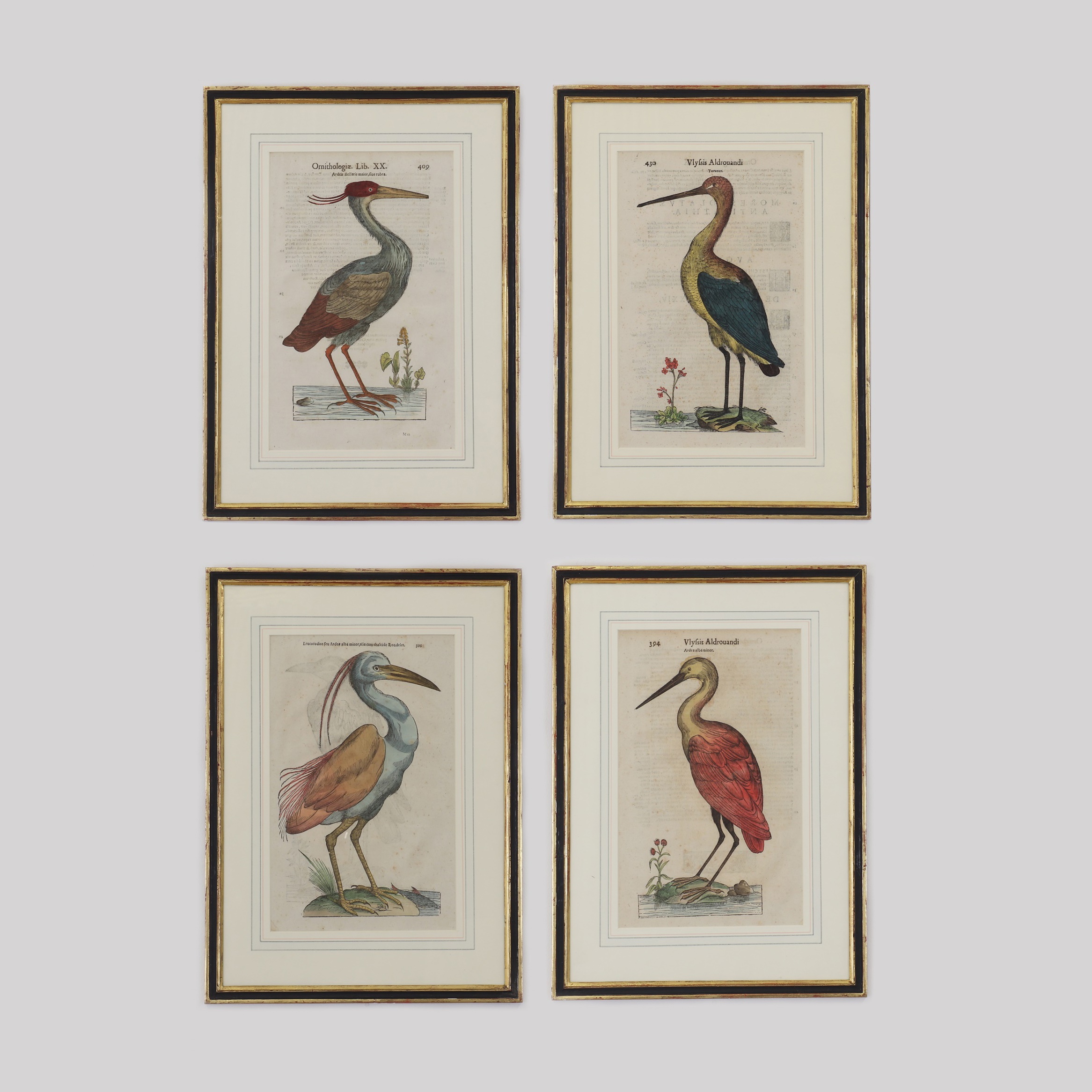 Ulisse Aldrovandi (Italian, 1522-1605) a set of four hand-coloured engravings of birds, taken from 'Ornithologiae hoc est de avibus Historiae libri XII'