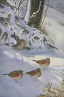 Lot 240 - Philip Rickman (1891-1982)
REDWINGS AND FIRECRESTS IN THE SNOW
Signed l.l.