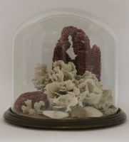 Lot 56 - A Victorian coral diorama