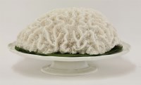 Lot 1171 - A large piece of brain coral