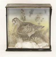 Lot 1291 - A case containing a Woodcock