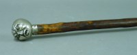 Lot 1241 - An early 20th century walking stick