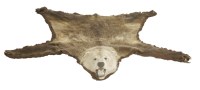 Lot 205 - A mounted brown bear with a full head