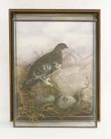 Lot 208 - A red grouse