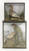 Lot 209 - A green woodpecker and cinnamon blackbird