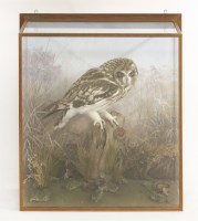 Lot 215 - A short-eared owl