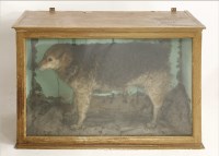 Lot 220 - A Victorian otter hound