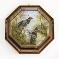 Lot 222 - A pair of Victorian lesser-spotted woodpeckers