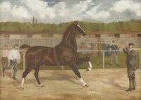 Lot 339 - S...Turner (19th century)
'BEAUFORT' - A YOUNG STALLION
Signed