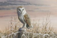 Lot 281 - Mark Chester (b.1960)
'MORNING FROST - BARN OWL'
Signed l.r.