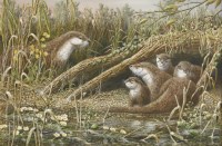 Lot 356 - Mark Chester (b.1960)
'OTTER FAMILY - RIVERSIDE RETREAT ON THE BROADS'
Signed l.r.