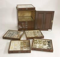 Lot 200 - A mahogany cabinet of tropical butterflies