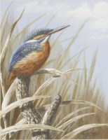 Lot 1359 - Mark Chester (b.1960)
'AUTUMN REEDS - KINGFISHERS'
A pair