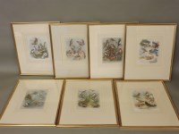 Lot 485 - Seven framed bird prints