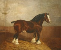 Lot 334 - Albert Clark Snr. (1821-1909) and Albert James Clark (fl.1890-1943)
'RIVAL CHIEF' -  A SHIRE HORSE IN A STABLE 
Signed 'Albert Clark and Son' and dated 1898 l.r.