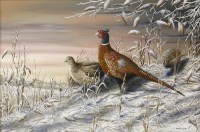 Lot 394 - Mark Chester (b.1960)
'MORNING FROST' - PHEASANTS
Signed l.r.