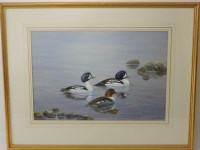 Lot 557 - Richard Robjent (b.1937)
'BARRARS GOLDENEYES'
Signed and dated 1981 l.r.