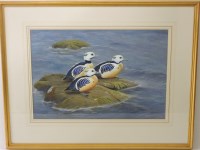 Lot 558 - Richard Robjent (b.1937)
'STELLERS EIDERS'
Signed and dated 1981 l.r.