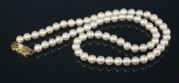 Lot 528 - A single row uniform cultured pearl necklace