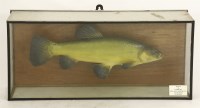 Lot 1679 - A tench