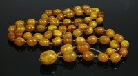 Lot 374 - A single row graduated amber bead necklace