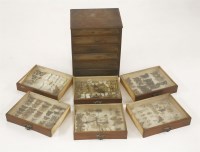 Lot 167 - A collector's cabinet of British Butterflies