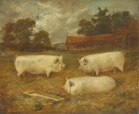 Lot 242 - E... S... England (fl.1890-1910)
THREE PIGS IN A FIELD
Signed and indistinctly dated 1898 l.r.