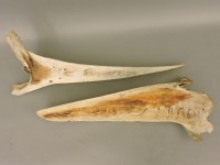 Lot 334 - A pair of small whale lower jaw bones