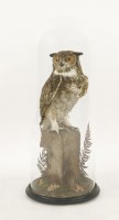 Lot 154 - A mounted male Great Horned Owl