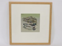 Lot 342 - Eric Ennion (1900-1981)
MALLARDS
Watercolour
15 x 15cm
Illustrated p.74 'Eric Ennion - A Life of Birds'