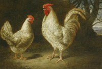 Lot 304 - James Charles Ward and William Ward (mid 19th century)
A SILVER-SPANGLED COCK AND HEN;
A SPECKLED COCK AND HEN
A pair