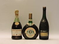 Lot 91 - Assorted to include one bottle each: Remy Martin Cognac; Armagnac Trianon