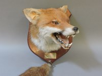 Lot 241 - Fox head mount