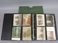 Lot 197 - British topographical postcards