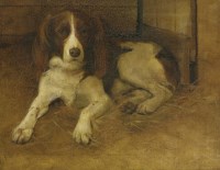 Lot 249 - Samuel Fulton (1855-1941)
A SPRINGER SPANIEL
Indistinctly signed l.r.