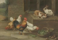 Lot 258 - Edgar Hunt (1876-1955)
CHICKENS