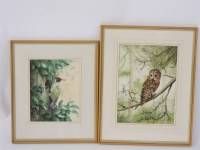 Lot 404 - Daphne Baxter
GREEN WOODPECKER;
TAWNY OWL
Signed