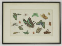 Lot 183 - Seven pith paper Paintings