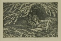 Lot 242 - Robin Tanner (1904-1988)
'THE OLD THORN' (GARTON 34)
Etching
