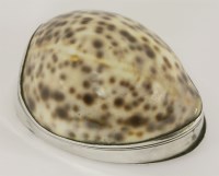 Lot 248 - A rare George III old sheffield plate mounted cowrie shell snuff box
