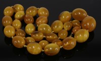 Lot 289 - A single row graduated amber necklace