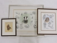 Lot 444 - ##Daphne Baxter
A STUDY OF OWLS;
A STUDY OF BADGERS;
A STUDY OF AN EAGLE
Three