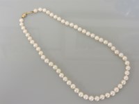 Lot 32 - A single row of uniform cultured pearls