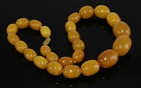 Lot 284 - A single row of graduated butterscotch olive-shaped amber beads