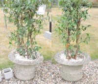 Lot 577 - A pair of Haddonstone garden vases