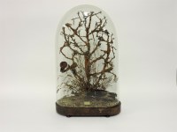 Lot 336 - A Victorian diorama of birds