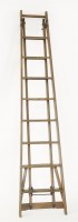 Lot 461 - A pitch pine 'The Patent Safety Ladder' library stepladder